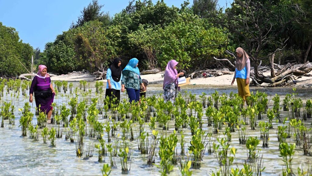 ‘This is our home’: The women fighting a company’s land claim on Indonesia’s Pari Island ‘This is our home’: The women fighting a company’s land claim on Indonesia’s Pari Island