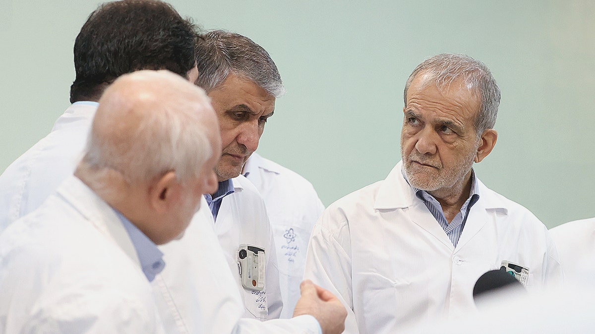 Nuclear scientists and Pezeshkian