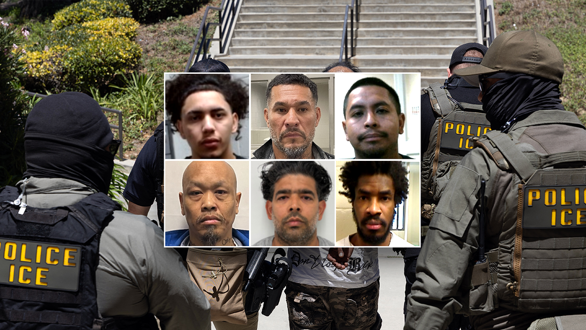 Worst of the worst ICE deportee mugshots from July