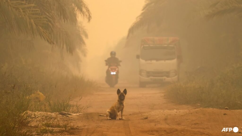 ‘Hazardous’ levels of air quality in parts of Indonesia’s Borneo