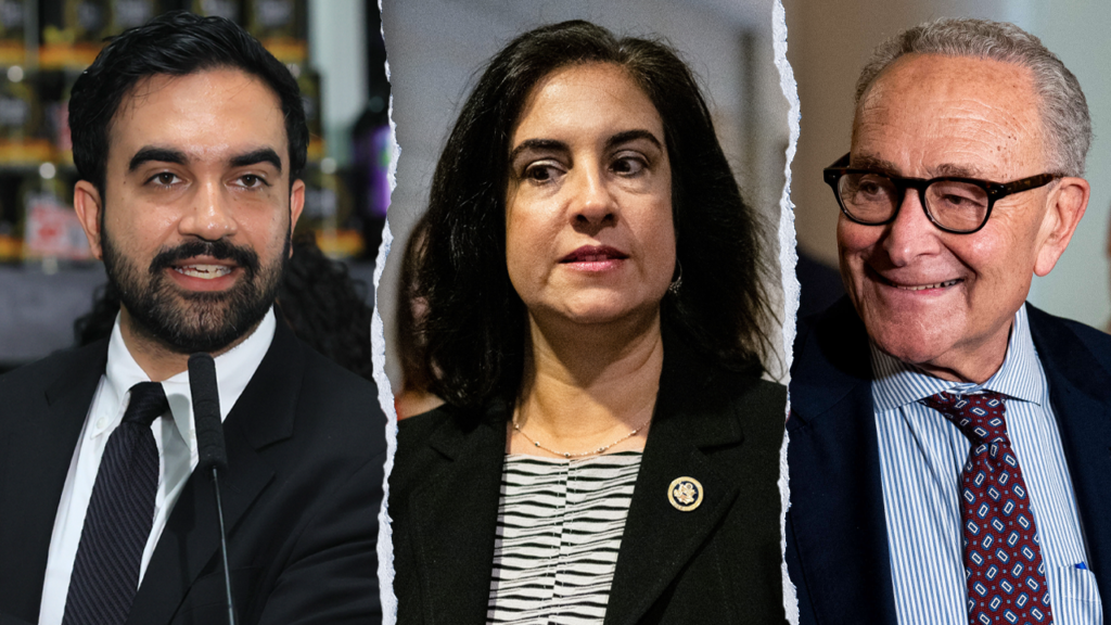 New York City’s lone Republican in Congress accuses Mamdani, Schumer of ‘hypocrisy’ in voter ID fight New York City’s lone Republican in Congress accuses Mamdani, Schumer of ‘hypocrisy’ in voter ID fight