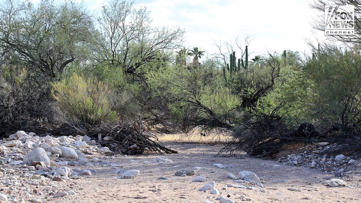 General view of a wash near the home of Nancy Guthrie in Tucson, Arizona