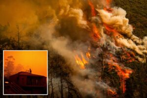 Fast-moving wildfire explodes in size again as it looms over luxury Big Sur mansions