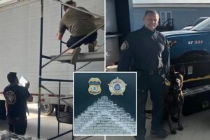 Russian national arrested with nearly 800 pounds of meth in ‘one of the largest’ busts in Louisiana history Russian national arrested with nearly 800 pounds of meth in ‘one of the largest’ busts in Louisiana history