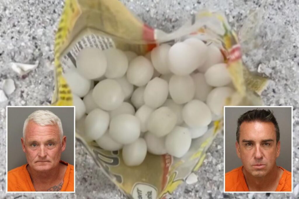Florida business owners allegedly scattered 1,500 mothballs on beach to scare off endangered birds