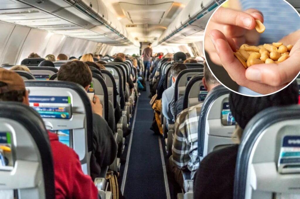 New hypoallergenic peanuts could bring the salty snacks back to airplanes and school cafeterias New hypoallergenic peanuts could bring the salty snacks back to airplanes and school cafeterias