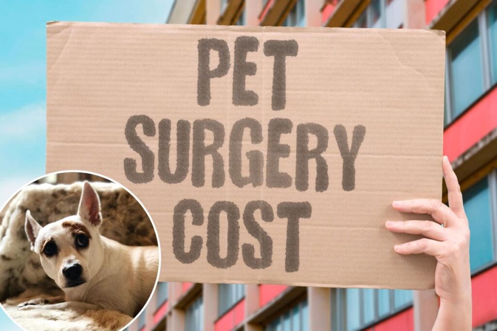 Most pet owners have a financial breaking point — and many are hitting it