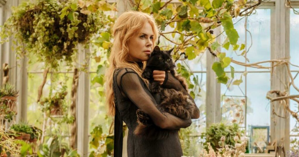 Before ‘Practical Magic 2,’ Stream Some of Sandra Bullock and Nicole Kidman’s Best Movies for Free