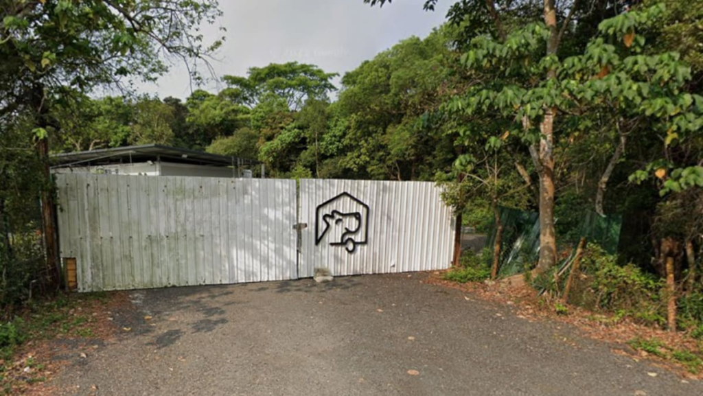 Woman in Hong Kong mauled to death by dog in pet hotel Woman in Hong Kong mauled to death by dog in pet hotel