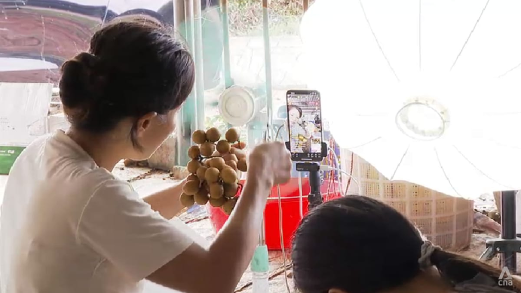 As typhoon risks grow, farmers in China’s Guangdong adapt to protect their livelihoods As typhoon risks grow, farmers in China’s Guangdong adapt to protect their livelihoods