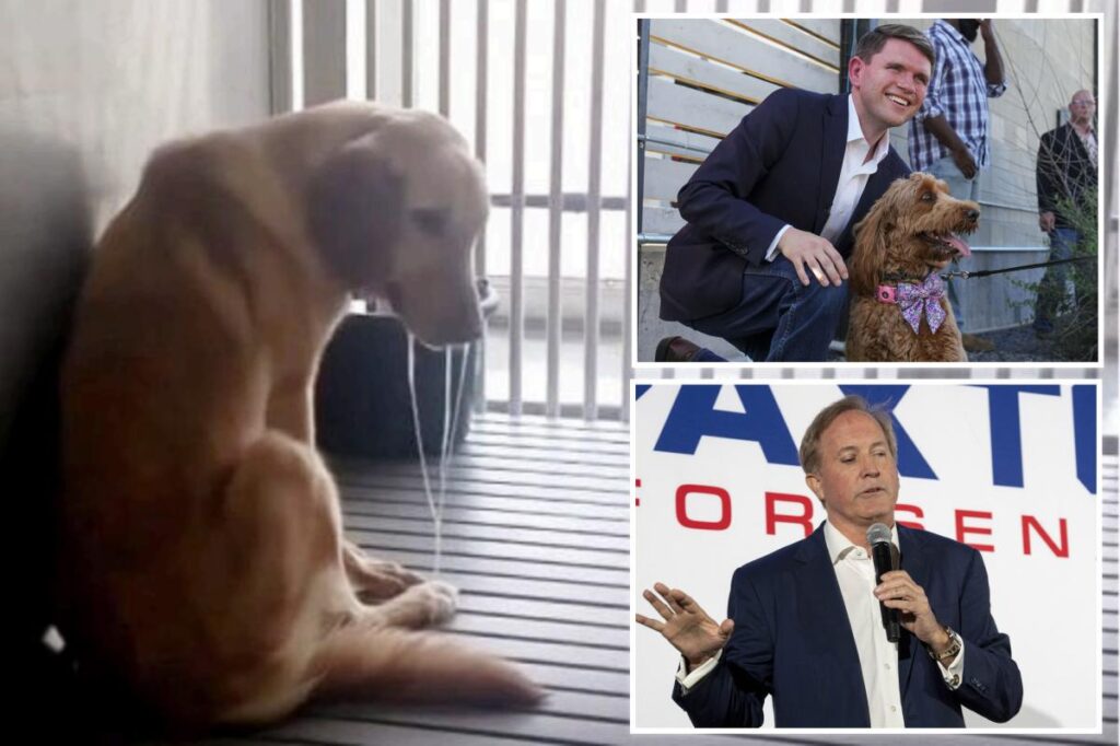 Talarico hounds Paxton as ‘anti-puppy’ as Dems hunt for scandals that stick in Texas