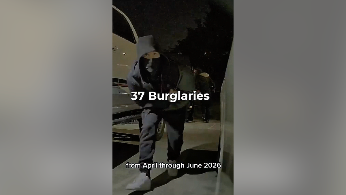 Surveillance image of burglary suspect in California