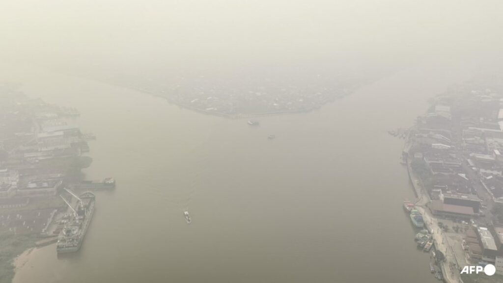 Indonesia closes 9 national parks temporarily following forest fires; prioritises firefighting in 6 provinces Indonesia closes 9 national parks temporarily following forest fires; prioritises firefighting in 6 provinces