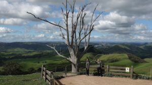 Hang’s Tree visitors cause chaos for residents in regional Victoria Hang’s Tree visitors cause chaos for residents in regional Victoria