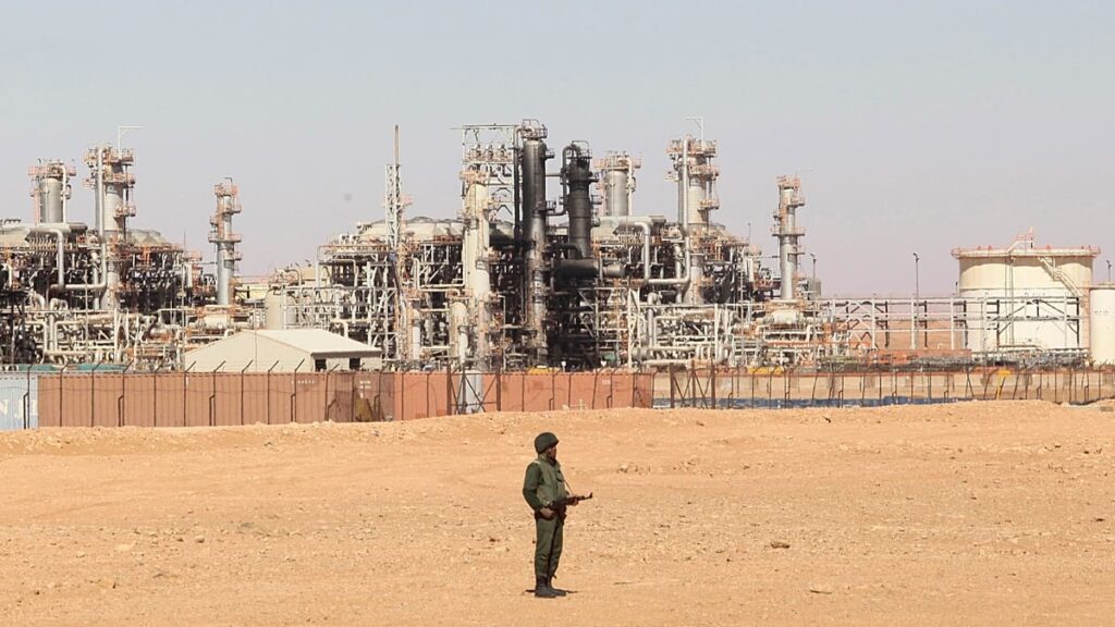 Germany eyes Algerian gas to diversify supply, foreign minister says