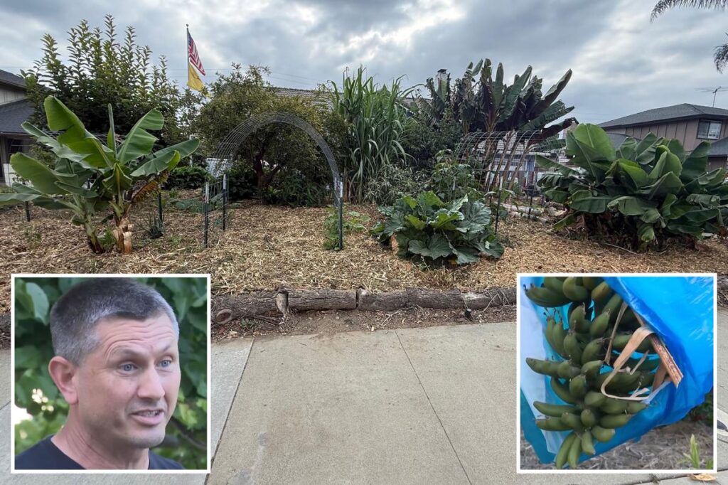 Exclusive | California man slams city after being fined for growing food at home: ‘I don’t trust the system’