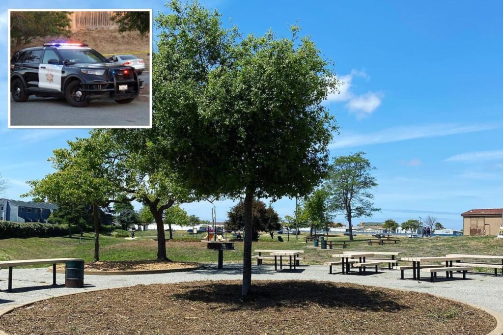 Mass stabbing sparks horror at California park as multiple people rushed to hospital, one critical Mass stabbing sparks horror at California park as multiple people rushed to hospital, one critical