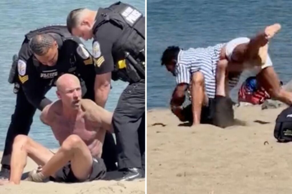 Wild brawl breaks out on California beach as martial artist describes violent dust-up: ‘ran into the wrong person’