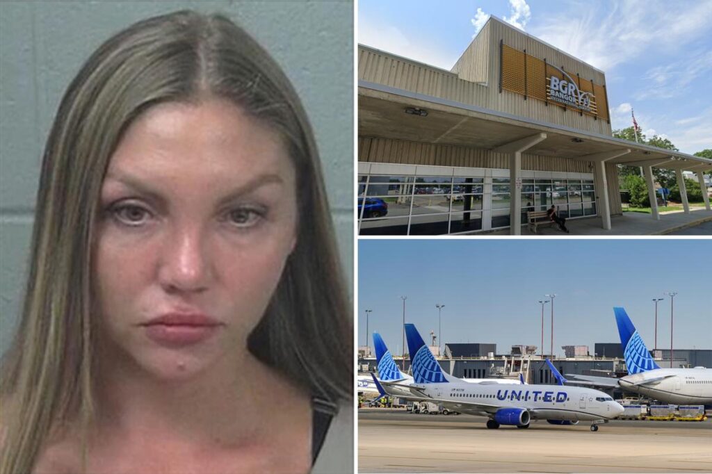 Drunk Russian passenger on way to NY bit flight attendant who wouldn’t serve more booze: affidavit Drunk Russian passenger on way to NY bit flight attendant who wouldn’t serve more booze: affidavit