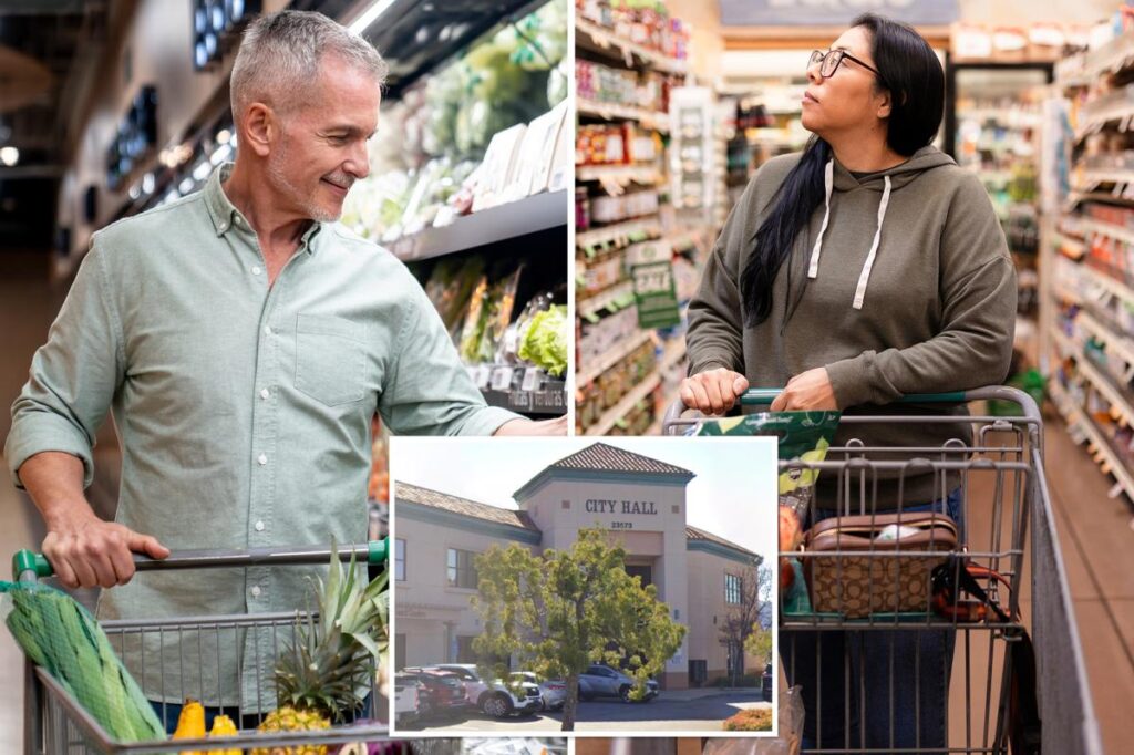California city slaps grocery stores with fines over growing cart ‘nuisance’ California city slaps grocery stores with fines over growing cart ‘nuisance’