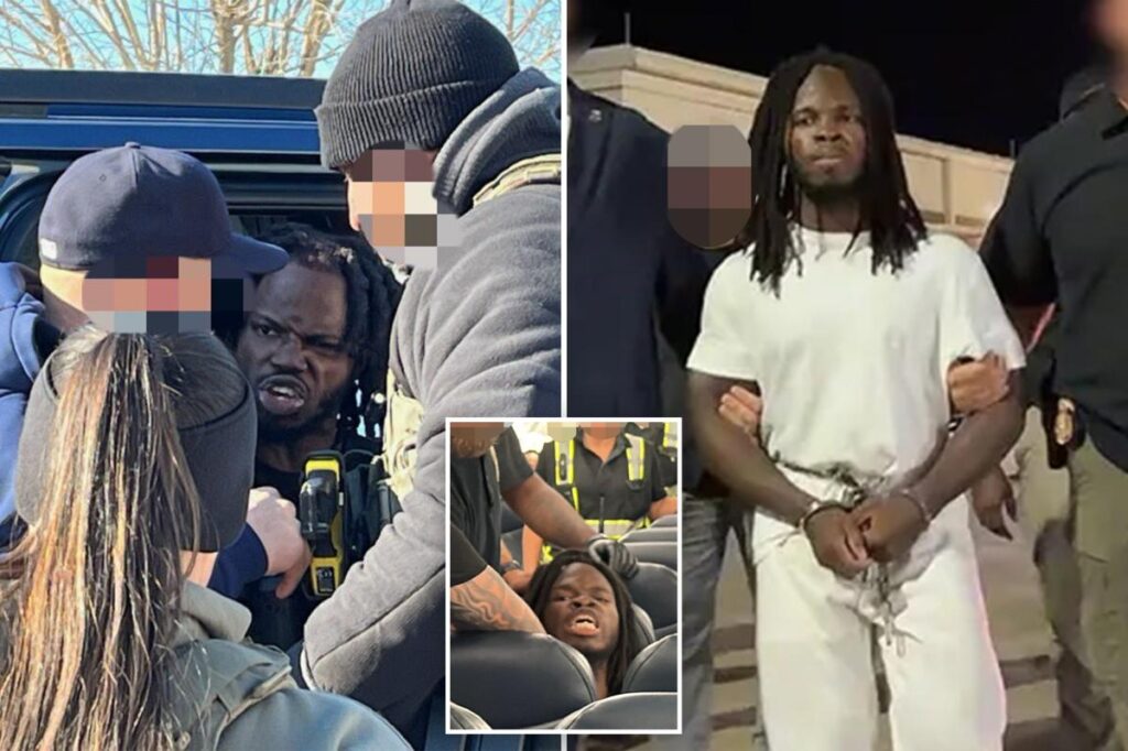 Haitian illegal immigrant gang member who went viral yelling ‘Biden forever’ during ICE arrest deported