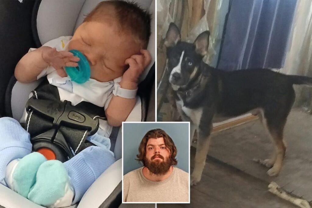 Newborn killed by family dog, Chomp, who bit him 180 times in squalid home