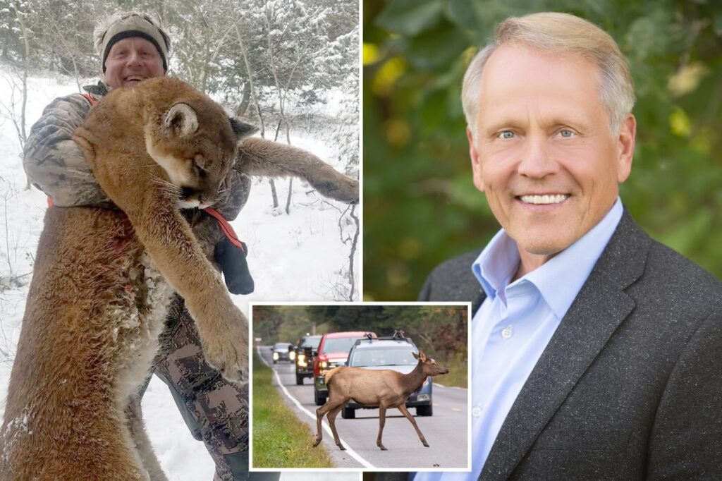 Idaho surgeon dies in freak car crash with elk Idaho surgeon dies in freak car crash with elk