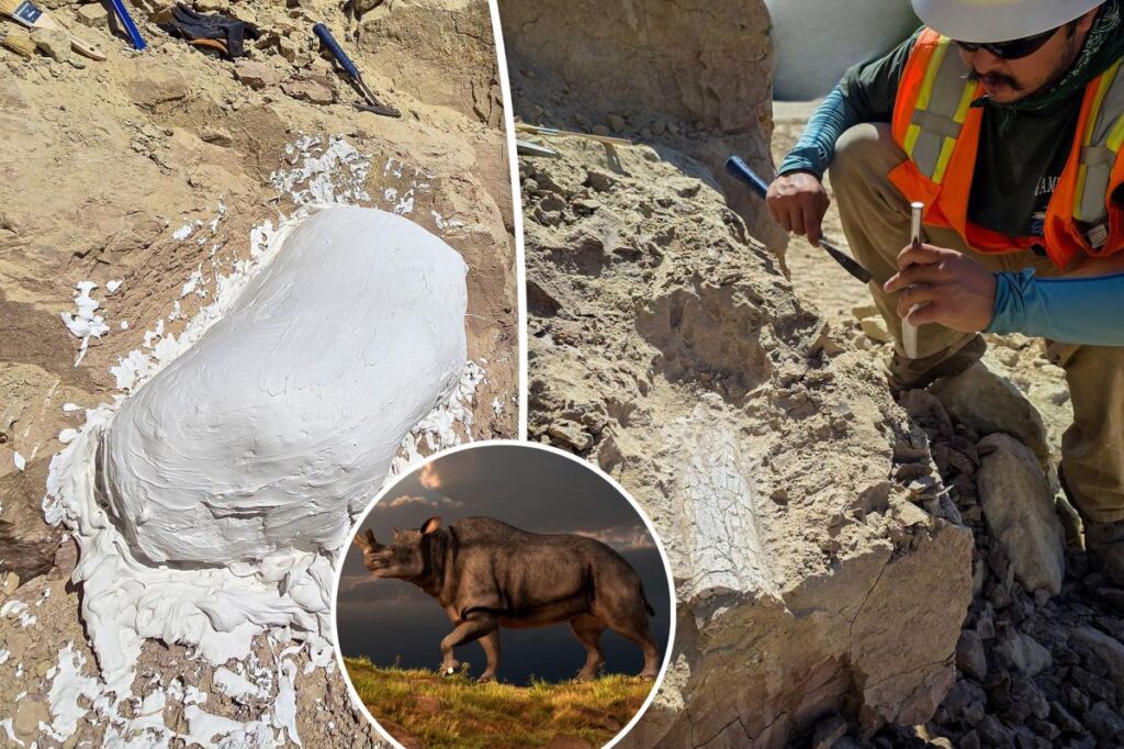 ‘Thunder beast’ that lived 45 million years ago unearthed in California beach town: scientists ‘Thunder beast’ that lived 45 million years ago unearthed in California beach town: scientists