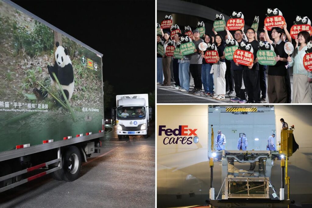 2 giant pandas set off to Atlanta zoo from China after Xi-Trump summit 2 giant pandas set off to Atlanta zoo from China after Xi-Trump summit