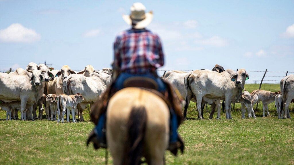 ‘Why would he do this to us?’: Trump’s foreign beef push is hurting his base, Republicans warn