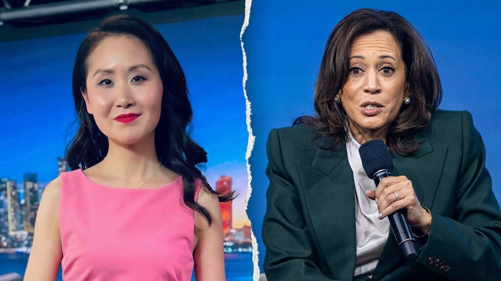 Ex-Dem insider exposes what Harris told top donors days before Biden dropped out: ‘So insulting’