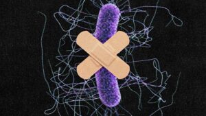 New form of antibiotic resistance uncovered
