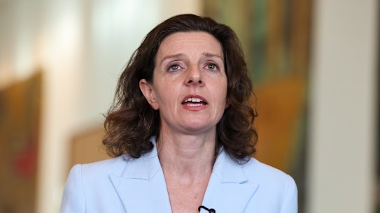 Wentworth MP Allegra Spender criticised Labor’s “ad hoc” migration measures.