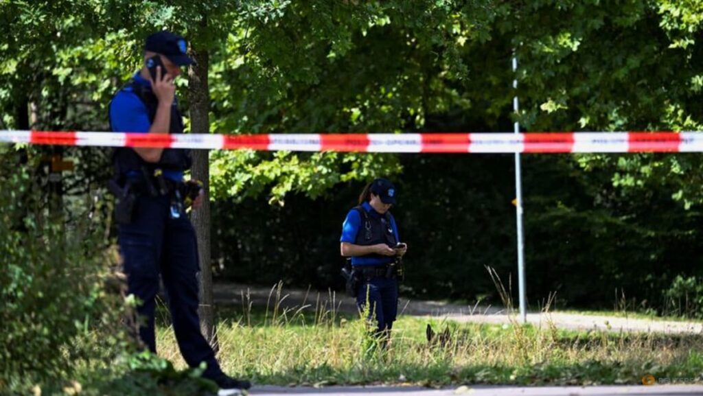 Swiss rave shooting suspect has ‘psychological problems’: prosecutor