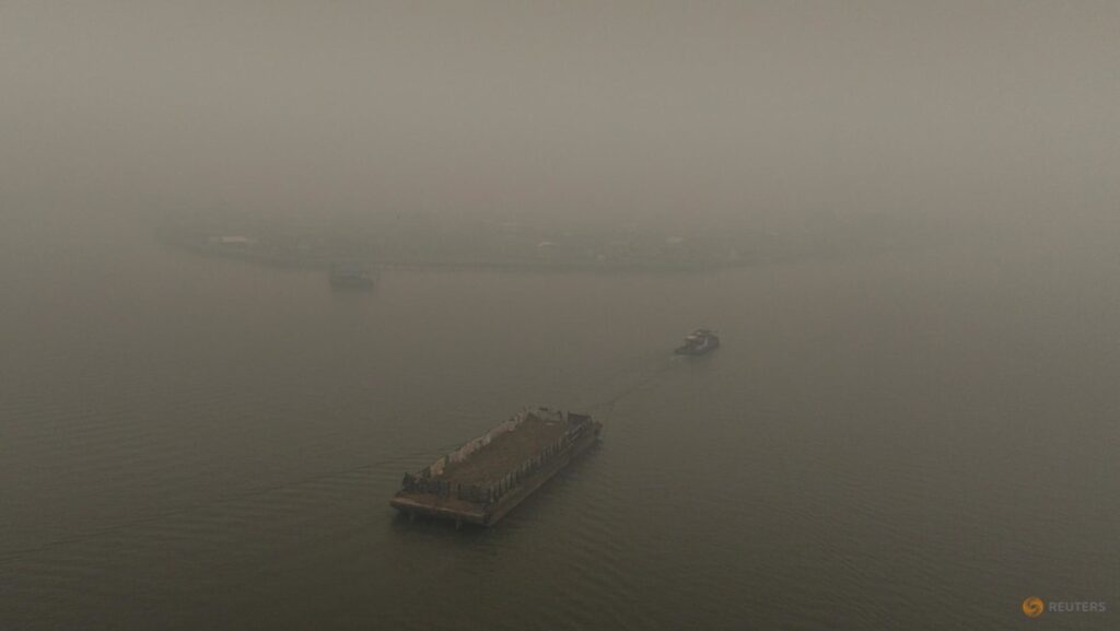 Indonesia steps up wildfire management efforts amid haze in Singapore and Malaysia