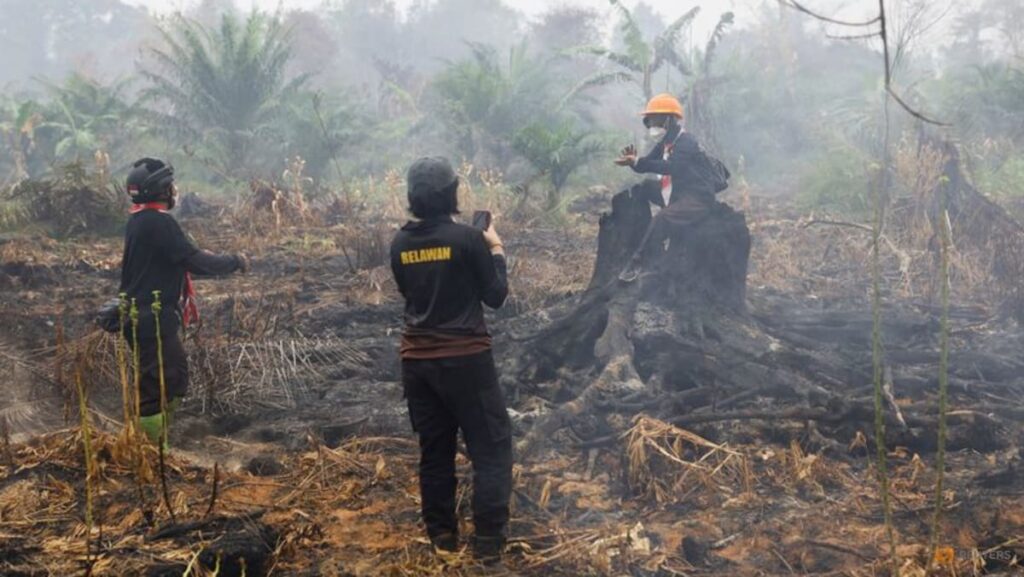 Indonesia’s wildfires may last until early November, minister says Indonesia’s wildfires may last until early November, minister says