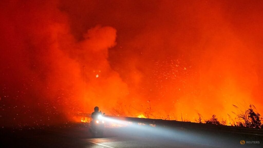 Indonesian president calls for stricter sanctions against forest fire perpetrators Indonesian president calls for stricter sanctions against forest fire perpetrators