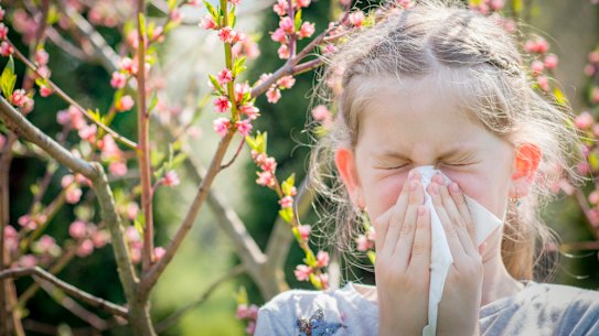 Australians with hay fever are dreading Spring and the pollen it brings.
