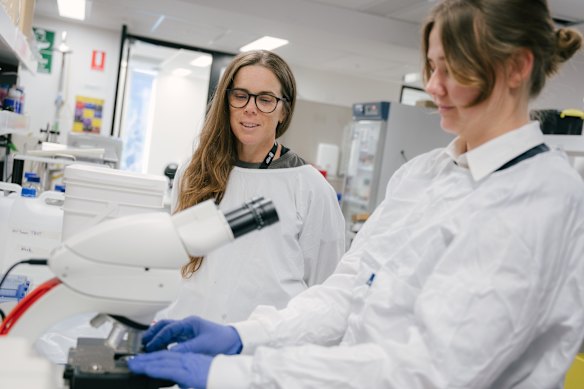 Associate Professor Kelly Clemens (centre) and Dr Isobel Williams worked with Professor Oei to investigate if a gut supplement could benefit babies exposed to opioids.