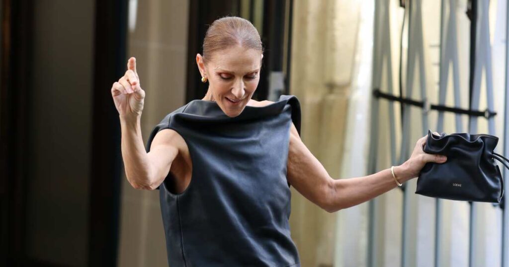Celine Dion’s ,600 ‘Little Black Bag’ Is a Fall Outfit Maker — We Found a Twin for Celine Dion’s ,600 ‘Little Black Bag’ Is a Fall Outfit Maker — We Found a Twin for