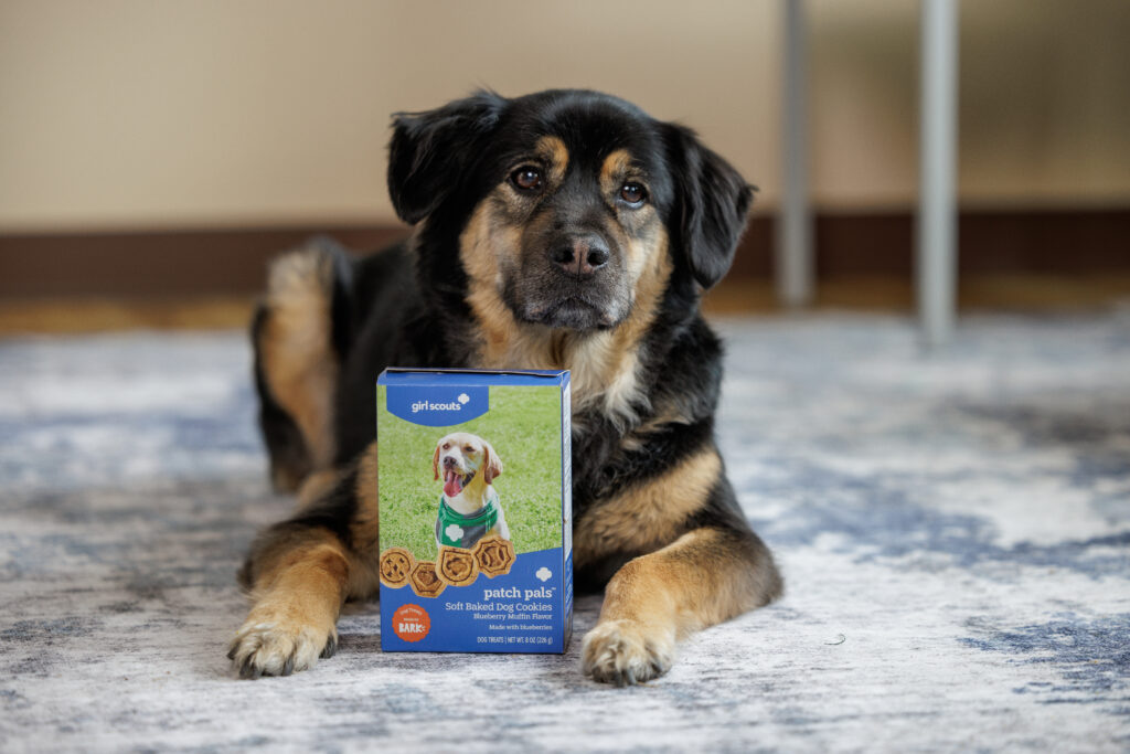 Girl Scouts Unleash Treats for Dogs and Allergy-Safe Cookies for Humans