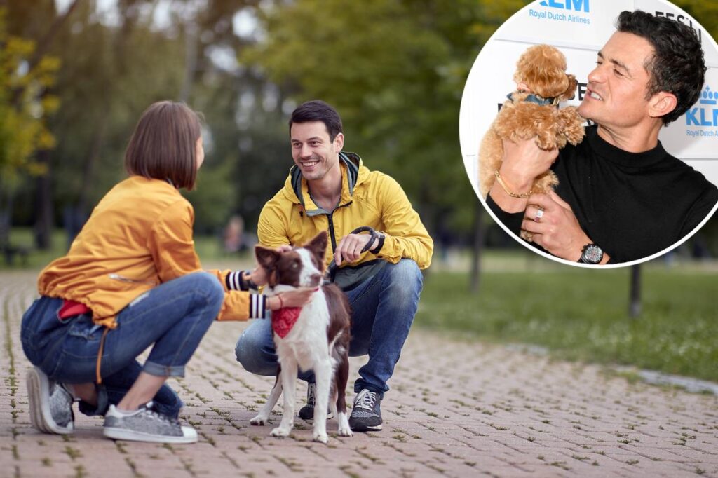 Man’s best wingman? Surprising dog type deemed the most masculine by pet expert