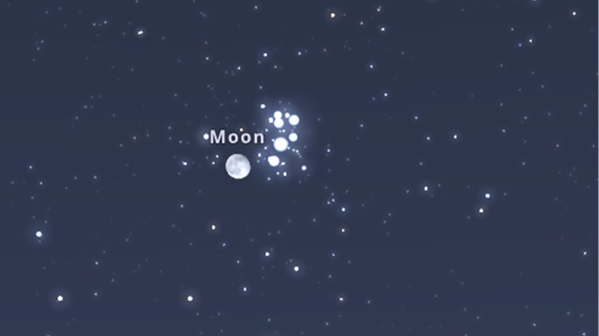 A graphic of the moon and Plaeiades together.