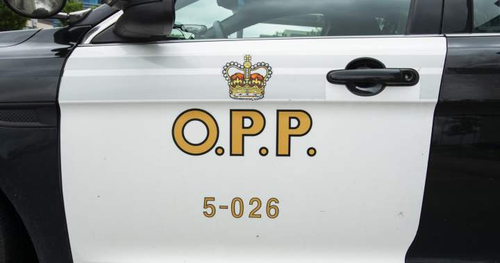 California resident dead after vessel capsizes on Georgian Bay: OPP California resident dead after vessel capsizes on Georgian Bay: OPP