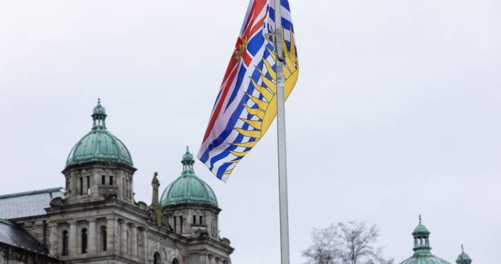 New B.C. Conservative leader Doerkson to appear with caucus amid election speculation New B.C. Conservative leader Doerkson to appear with caucus amid election speculation