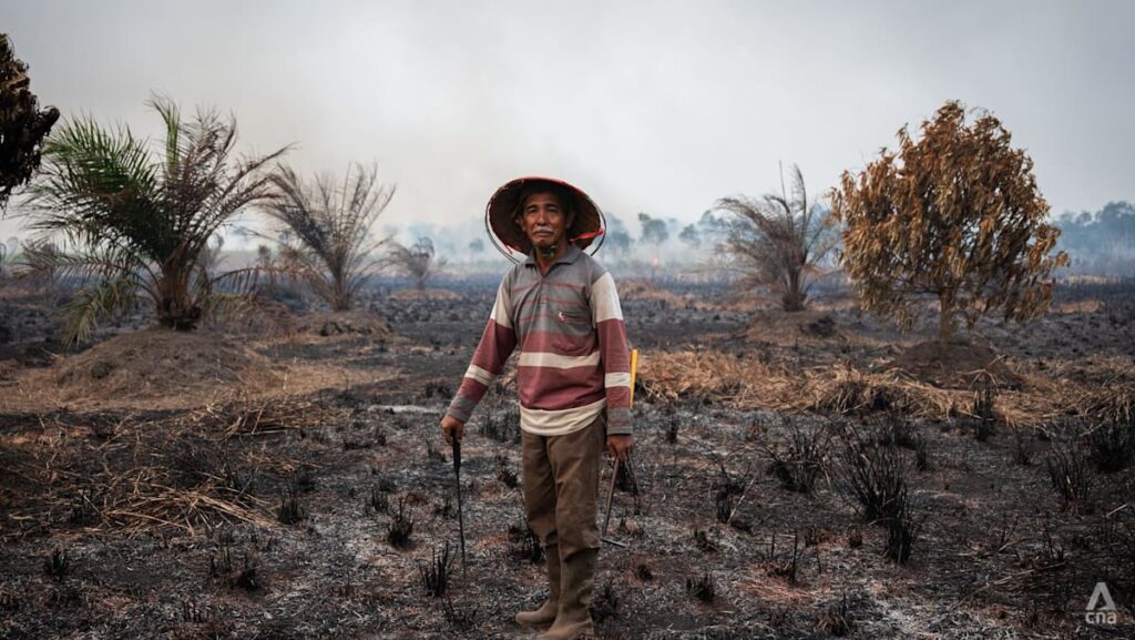 Cheap to burn, costly to bear: What fuels Indonesia’s persistent cycle of fires and haze?