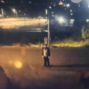 Person wearing Cat in the Hat costume chased teen: West Kelowna RCMP Person wearing Cat in the Hat costume chased teen: West Kelowna RCMP
