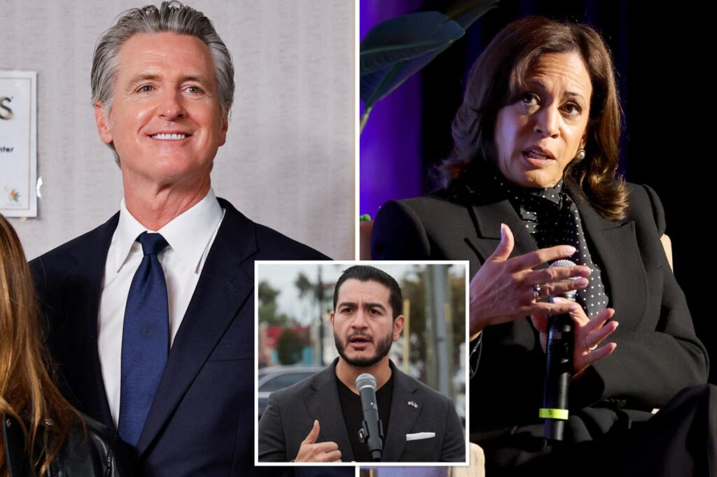 Kamala Harris avoided like the plague as Dems openly bash her: ‘No thanks’ Kamala Harris avoided like the plague as Dems openly bash her: ‘No thanks’