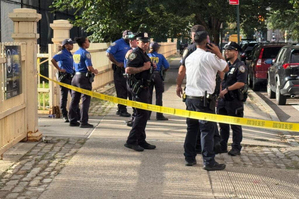 14-year-old boy shot near NYC park by gunman dressed in head-to-toe black: cops 14-year-old boy shot near NYC park by gunman dressed in head-to-toe black: cops