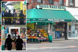 Homeless NYC nutjob slashes rival with box cutter, spilling his intestines: court docs